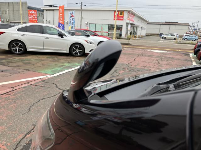 ヴェルファイア（新潟県長岡市）