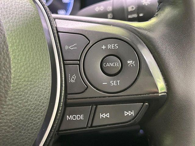 ＲＡＶ４（新潟県長岡市）画像6