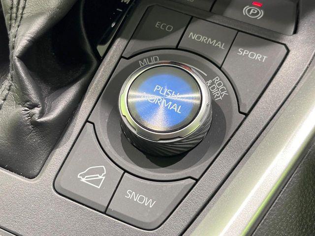 ＲＡＶ４（新潟県長岡市）画像28