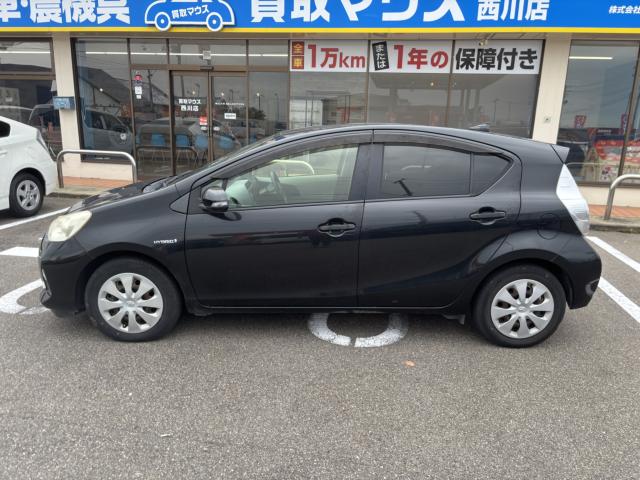 アクア(新潟県新潟市西蒲区)