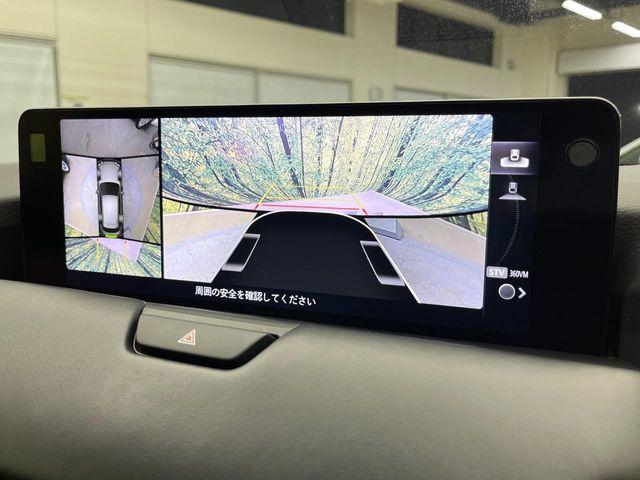 CX-60（新潟県新潟市南区）画像5