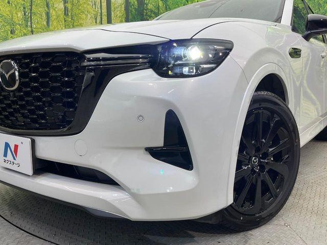 CX-60（新潟県新潟市南区）画像12