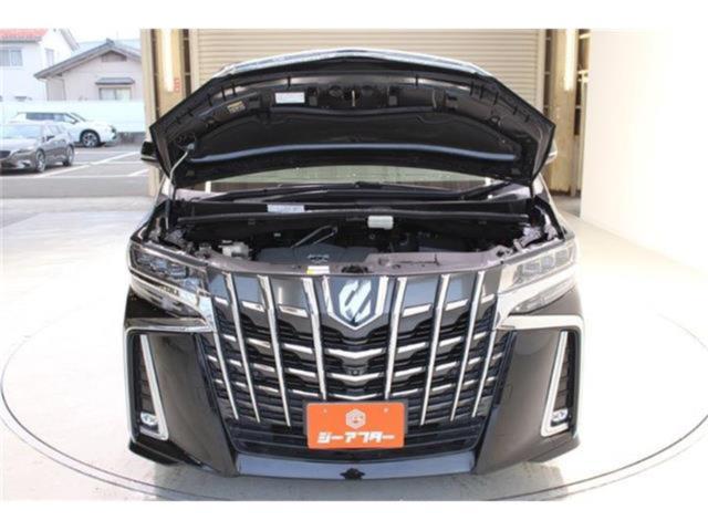 アルファード(新潟県新潟市東区)