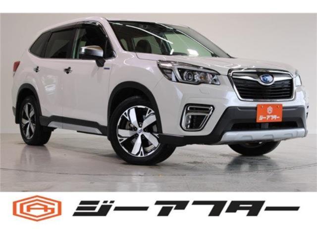 フォレスター（新潟県新潟市東区）