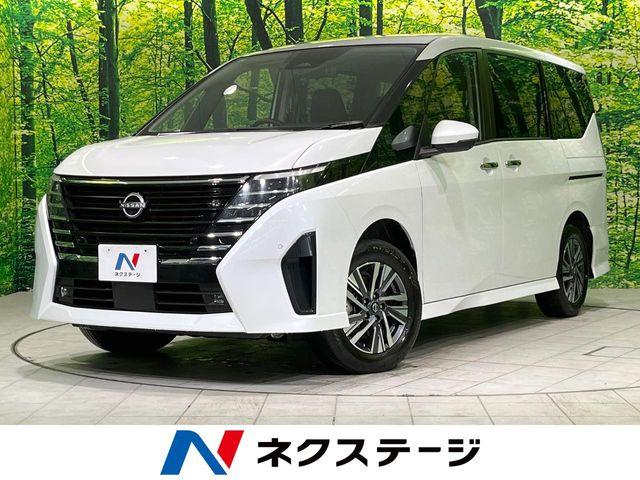セレナ（新潟県長岡市）