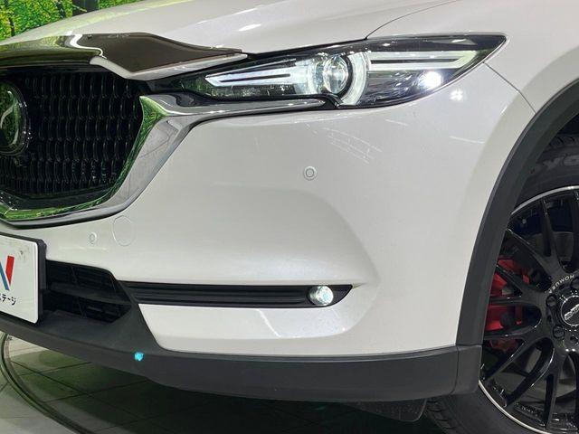 CX-8(新潟県長岡市)
