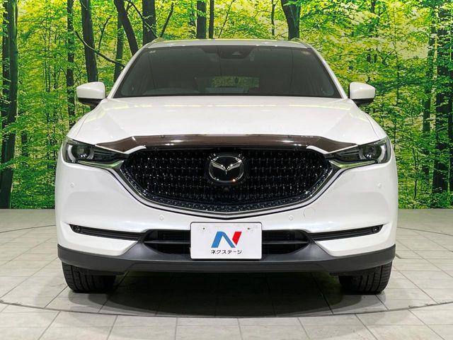 CX-8(新潟県長岡市)