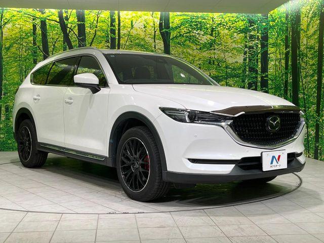 CX-8(新潟県長岡市)