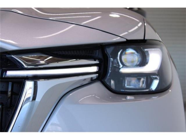 CX-60（新潟県新潟市東区）画像16