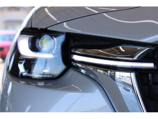 CX-60（新潟県新潟市東区）画像18