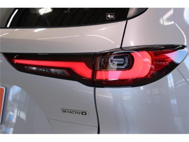 CX-60（新潟県新潟市東区）画像19