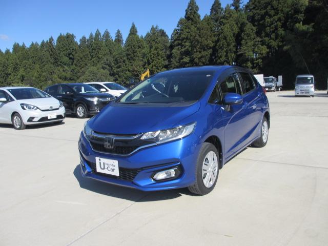 フィット(新潟県長岡市)