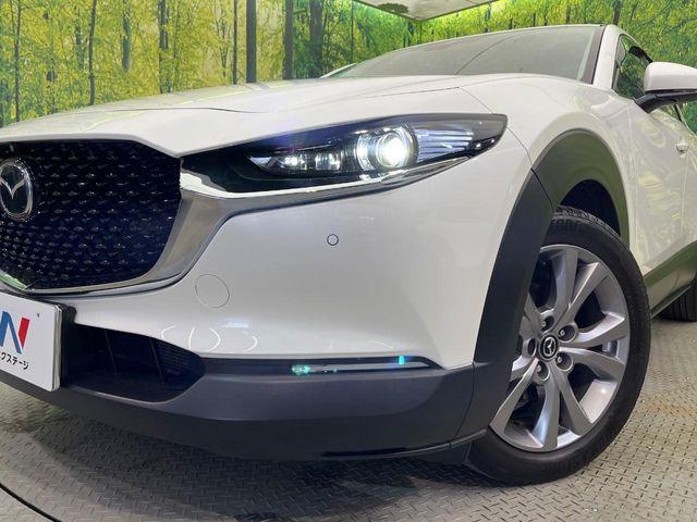 CX-30(新潟県新潟市南区)