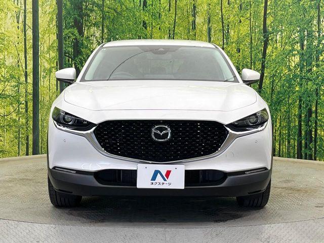 CX-30(新潟県新潟市南区)