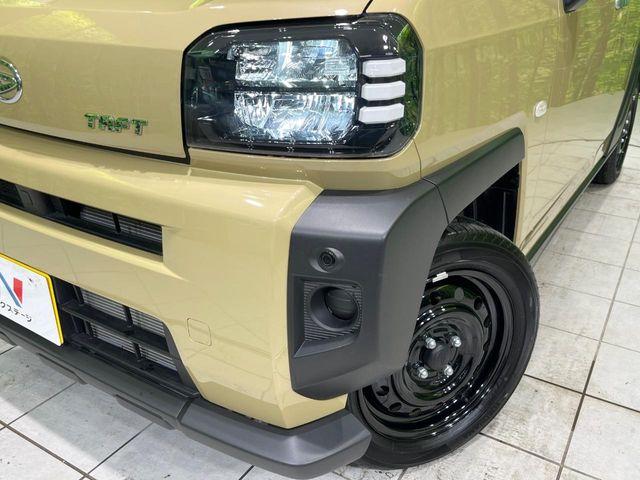 タフト（新潟県長岡市）画像11