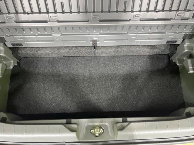 タフト（新潟県長岡市）画像31