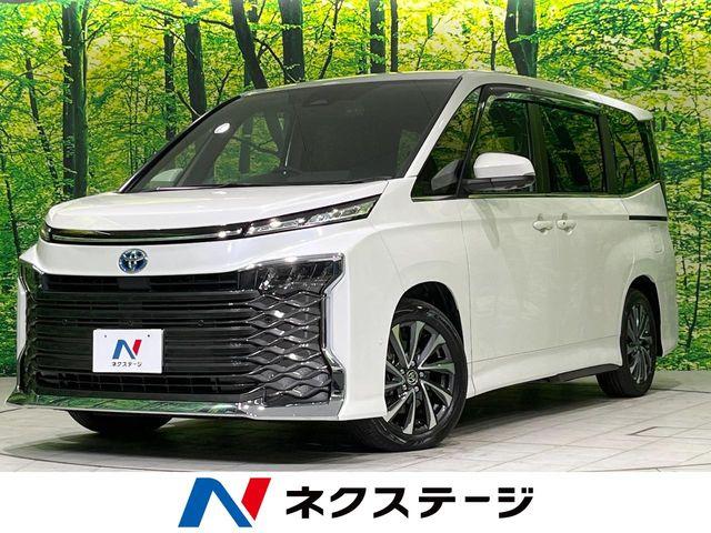 ヴォクシー(新潟県長岡市)