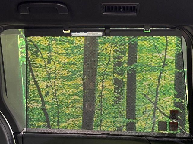 ヴォクシー（新潟県長岡市）画像24