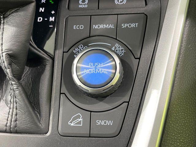 ＲＡＶ４（新潟県長岡市）画像43