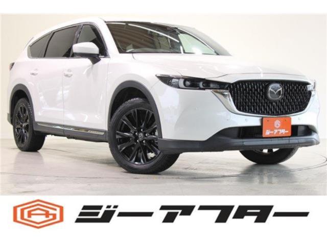 CX-8(新潟県新潟市東区)