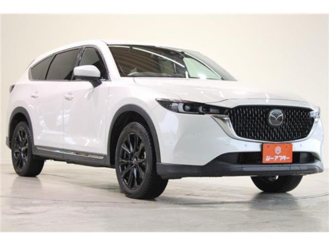 CX-8(新潟県新潟市東区)