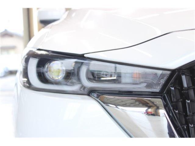 CX-8(新潟県新潟市東区)