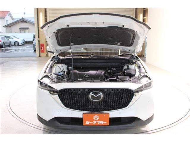 CX-8(新潟県新潟市東区)