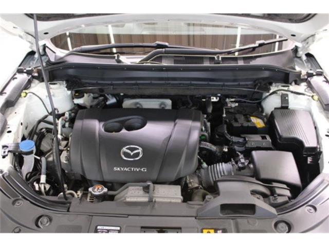 CX-8(新潟県新潟市東区)