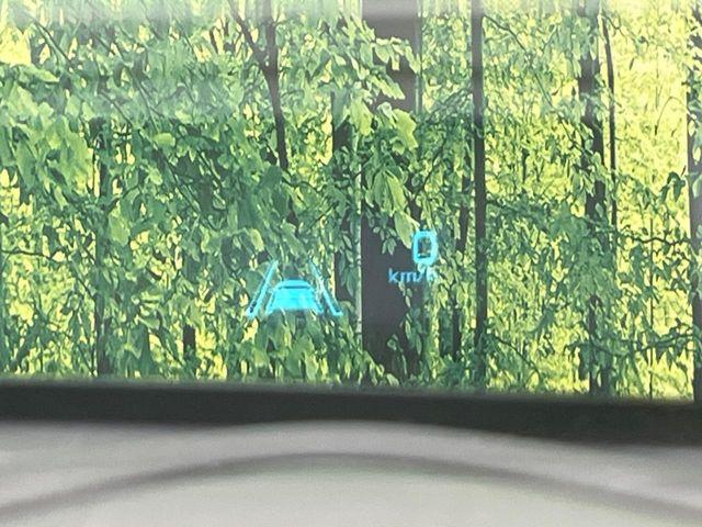 デミオ(新潟県新潟市南区)