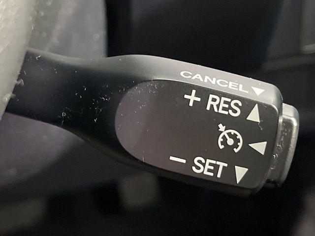 トール(新潟県新潟市南区)