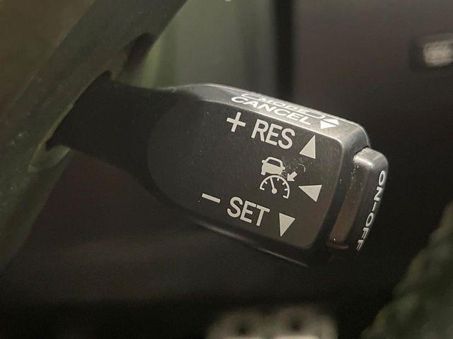 レクサスＲＸ（新潟県長岡市）