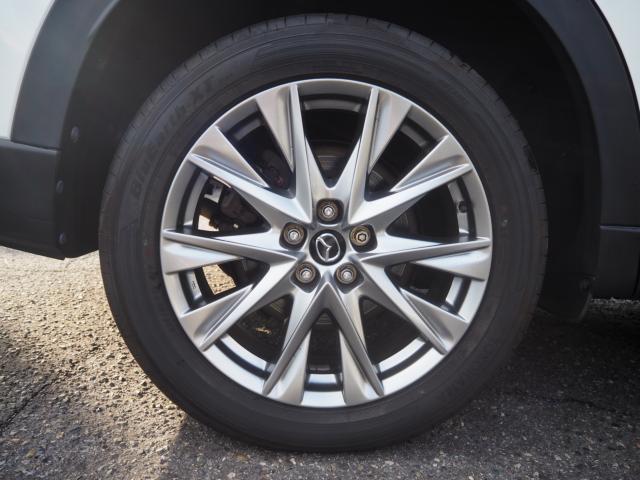 CX-8(新潟県新潟市西区)