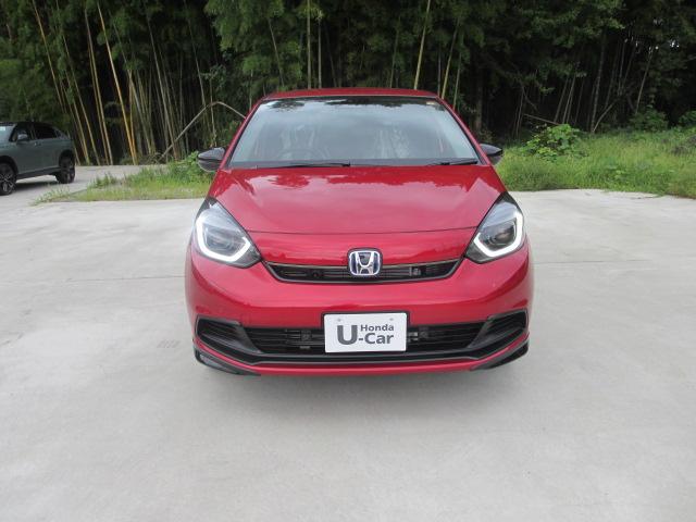 フィット(新潟県長岡市)