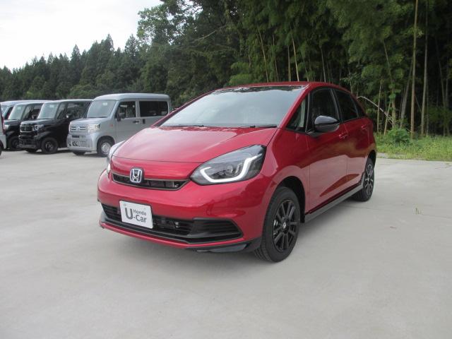 フィット(新潟県長岡市)