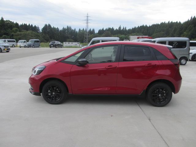 フィット(新潟県長岡市)