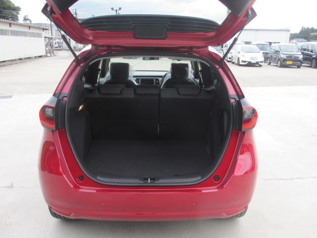 フィット(新潟県長岡市)