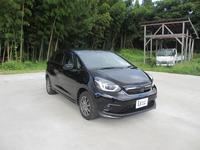 フィット(新潟県長岡市)