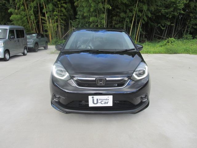 フィット(新潟県長岡市)