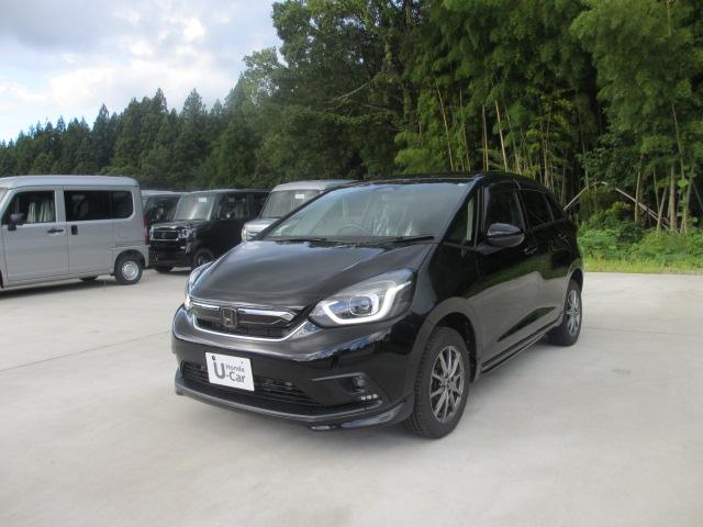 フィット(新潟県長岡市)