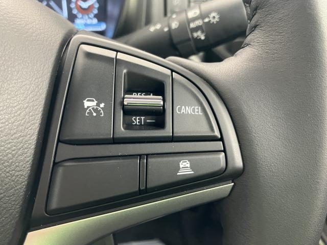 ハスラー（新潟県新潟市西蒲区）画像48