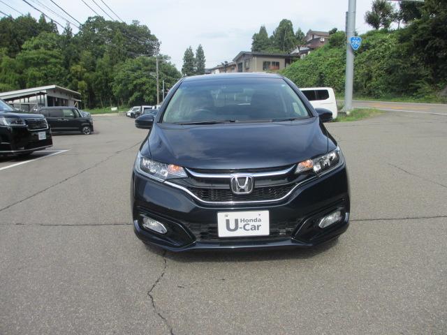 フィット(新潟県長岡市)