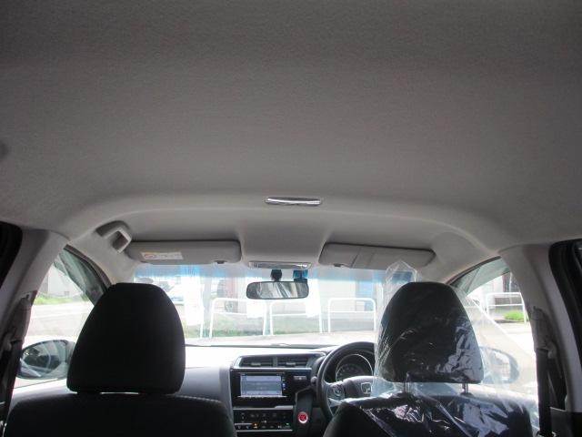 フィット(新潟県長岡市)