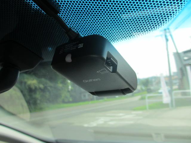 フィット(新潟県長岡市)