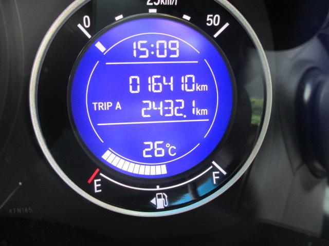 フィット(新潟県長岡市)