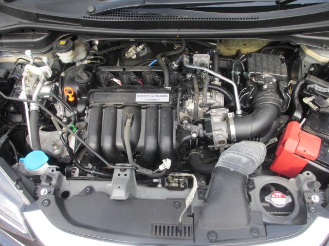 フィット(新潟県長岡市)