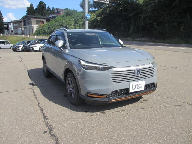 ヴェゼル(新潟県長岡市)