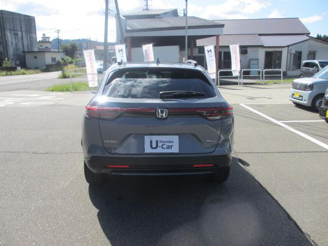 ヴェゼル(新潟県長岡市)