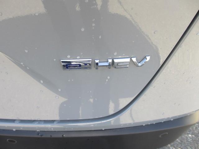 ヴェゼル(新潟県長岡市)