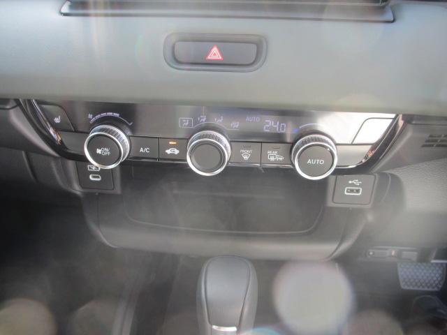 ヴェゼル(新潟県長岡市)