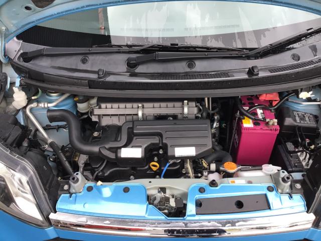 ステラ(新潟県三条市)